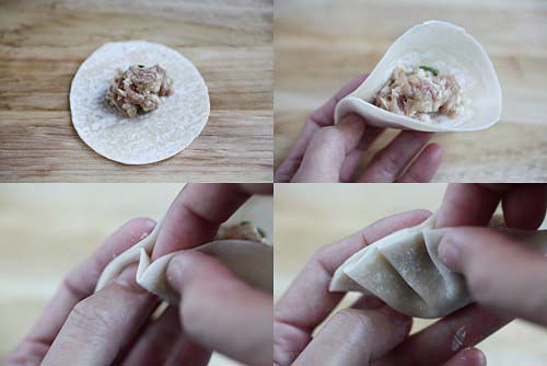 Step-by-step picture guide on how to wrap gyoza.