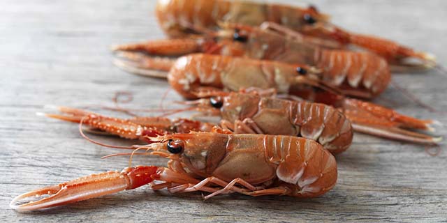 Raw Italian scampi or langoustines, a crustacean with pale pink hard shell that looks like mini lobsters.