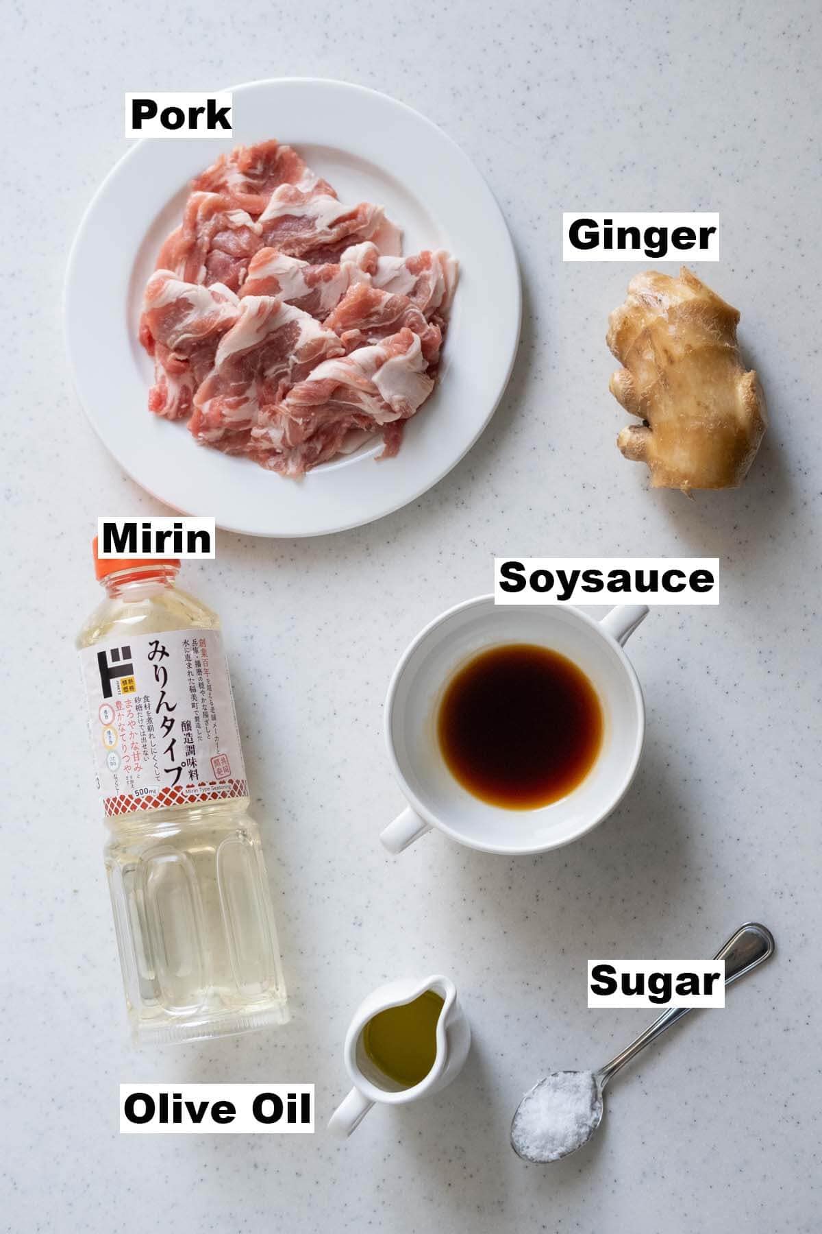 Ingredients for Japanese ginger pork recipe.