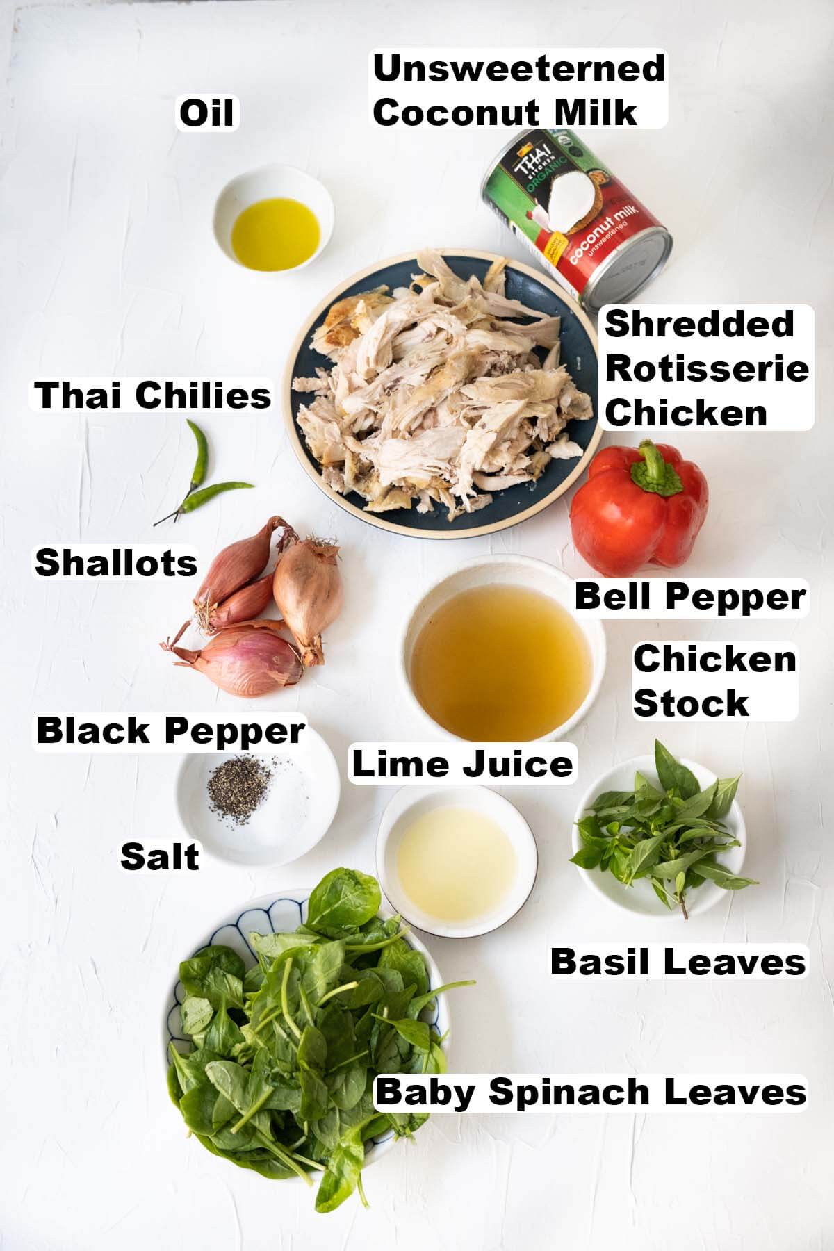 Ingredients for spicy coconut chicken stew recipe. 